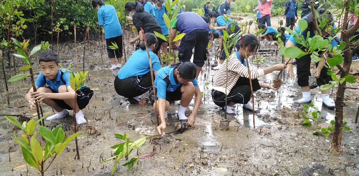 กรมทะเลฯ เตรียมเปิดโครงการคาร์บอนเครดิตป่าชายเลนรอบใหม่ สิงหานี้