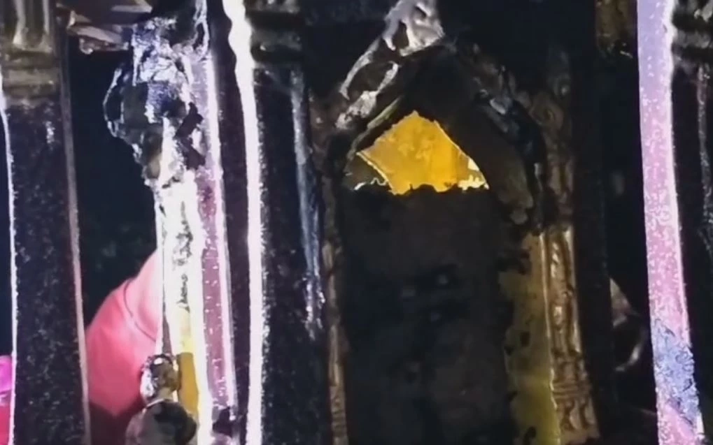 "ต่อหัวเสือ" ทำรังในศาลพระภูมิ ชาวบ้านหวั่นอันตราย แจ้งกู้ภัยช่วยกำจัด