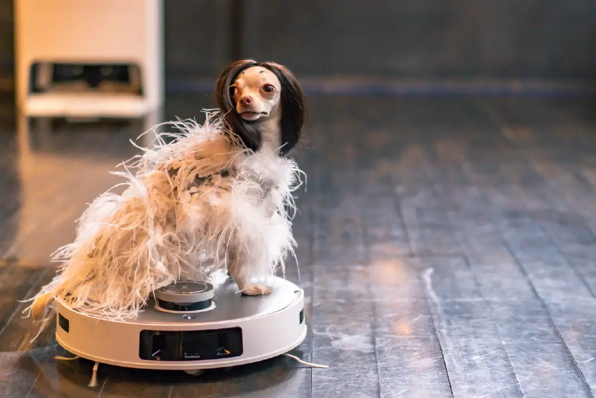 ECOVACS เปิดตัว “DEEBOT T20 OMNI” หุ่นยนต์ดูดฝุ่นอัจฉริยะรุ่นใหม่ล่าสุด
