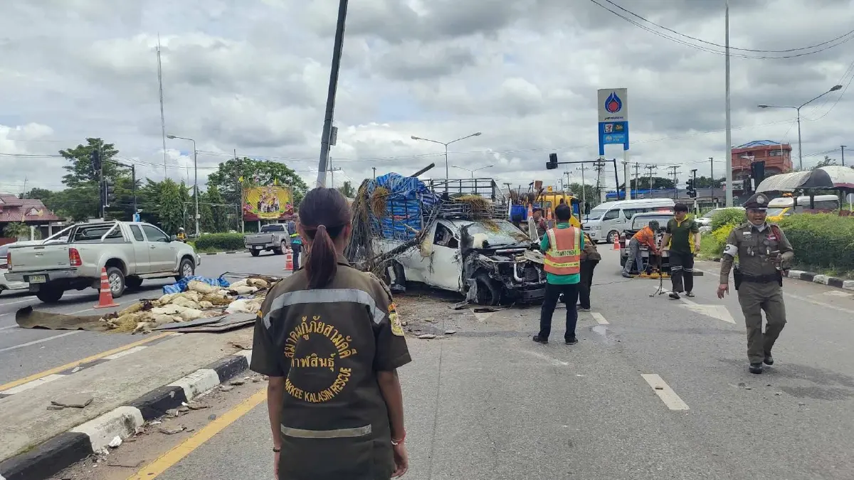 กระบะขนแพะเบรกแตก พุ่งชนกลางสี่แยกไฟแดง แพะตาย 35 ตัว