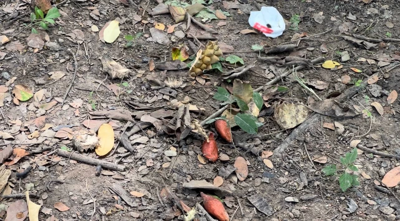 สุดงง! คนร้ายขโมยมีดปอกทุเรียนกว่า 20 เล่ม เชื่อเพราะขายถูก