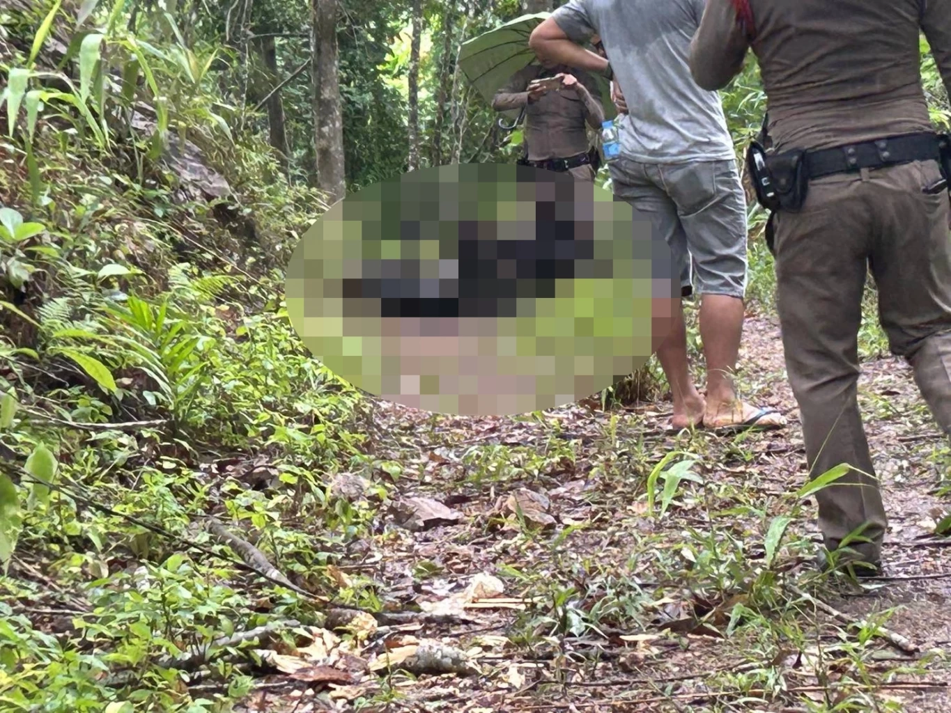 สุดเหี้ยม! พบร่างถูกสังหารหมู่ 4 ศพ กลางป่ายางที่ชุมพร