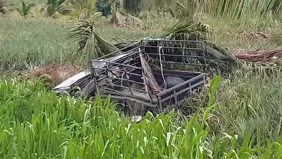 ตำรวจไล่ล่าผัวค้ายา หลังไม่ยอมให้ตรวจค้น สุดท้ายเสียหลักชนต้นไม้เมียดับ