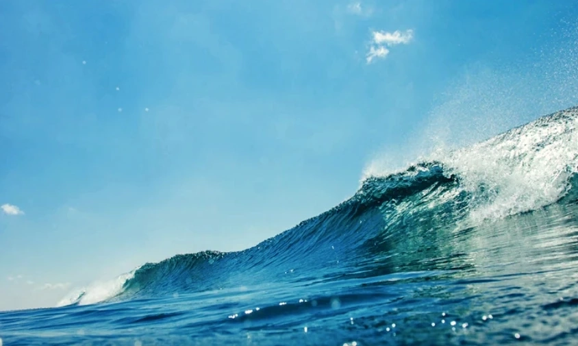 Climate Change : นักวิทย์เผยมหาสมุทรกว่าครึ่งโลกกำลังเปลี่ยนสีเพราะโลกรวน