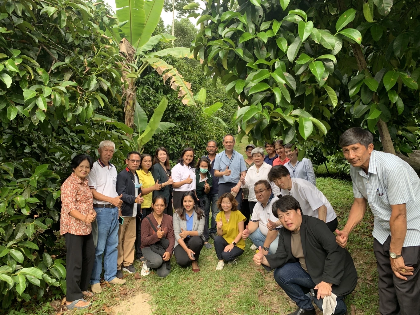 ซื้อแล้ว! DITP ดันมังคุดล็อตแรก 300 ตันไม่ต้องอบไอน้ำ ตีตลาดญี่ปุ่น 