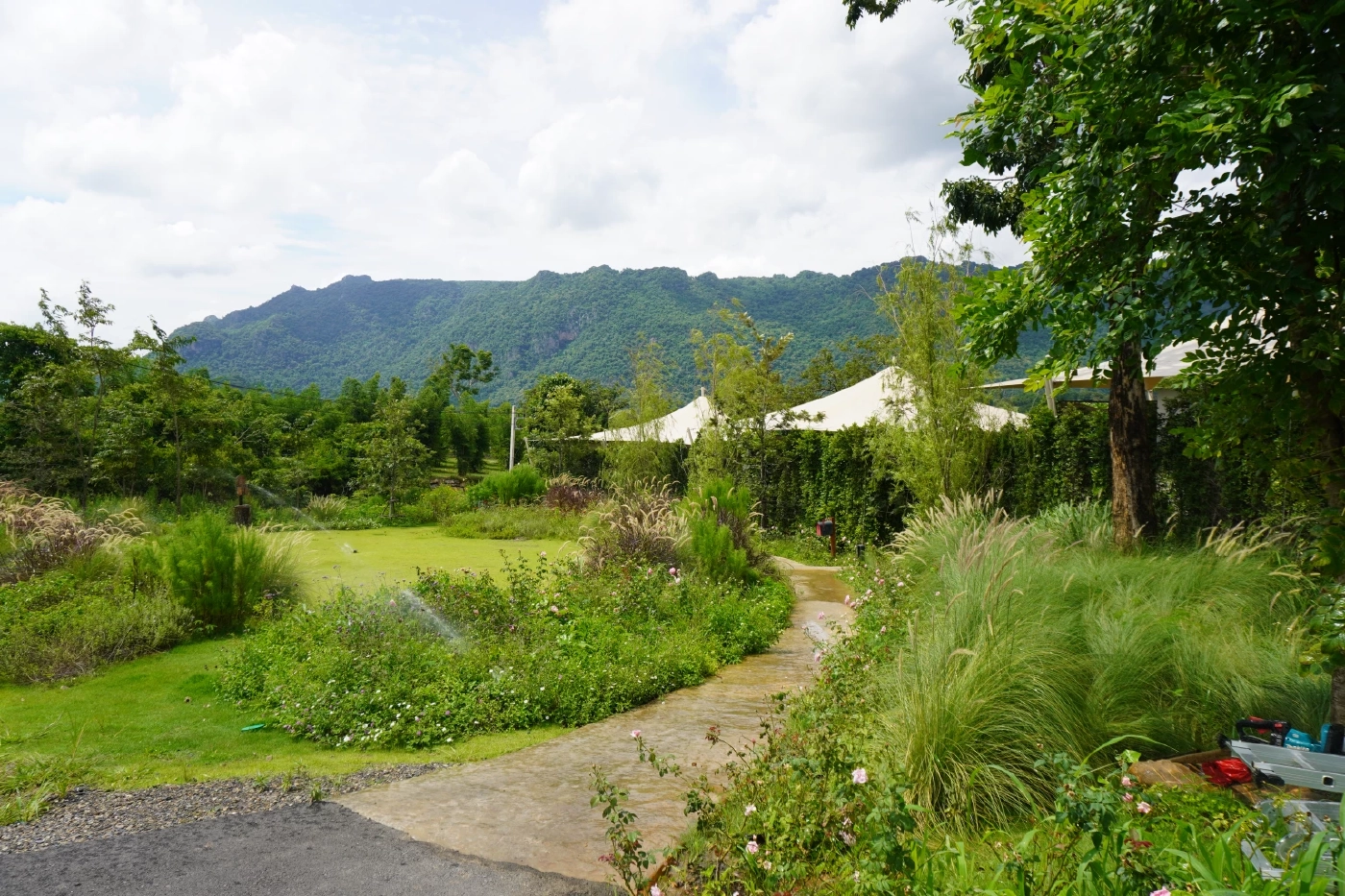 ชูวัตถุดิบท้องถิ่น ปรุงรสด้วยความจริงใจ @Tree Top Khao Yai Farm-to-Table