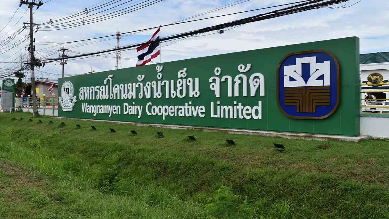 ผู้เลี้ยงโคนมถอดใจ ผลิตนมลดฮวบ แต่ราคาไม่ขึ้นตาม ซ้ำค่าอาหารสัตว์พุ่งสูง