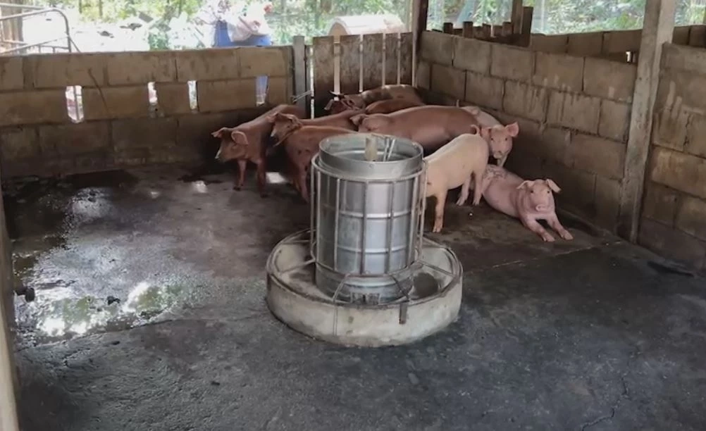 น้ำท่วมตรังเริ่มคลี่คลาย ชาวบ้านเร่งสำรวจความเสียหาย