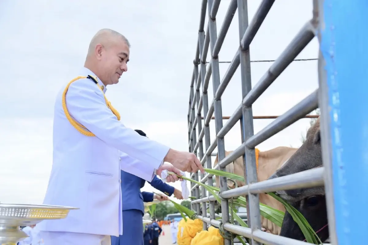 ทอ. จัดกิจกรรมเฉลิมพระเกียรติในหลวง เนื่องในโอกาสวันเฉลิมพระชนมพรรษา