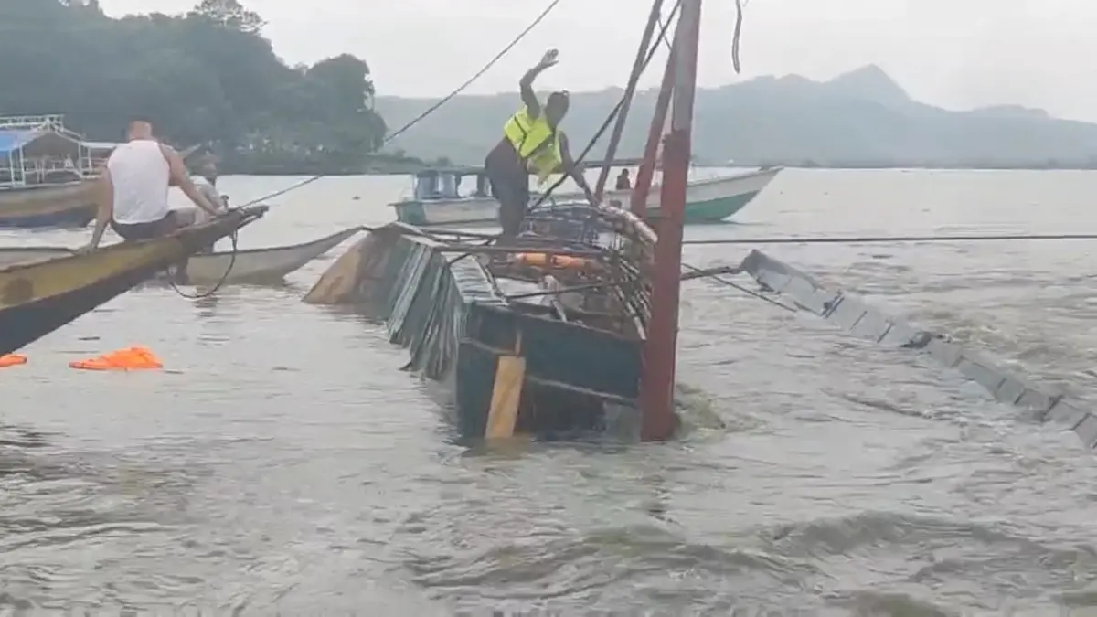 โซเชียลมีเดียแชร์ภาพสุนัขยืนโต้ลมที่ไต้หวัน (คลิป)