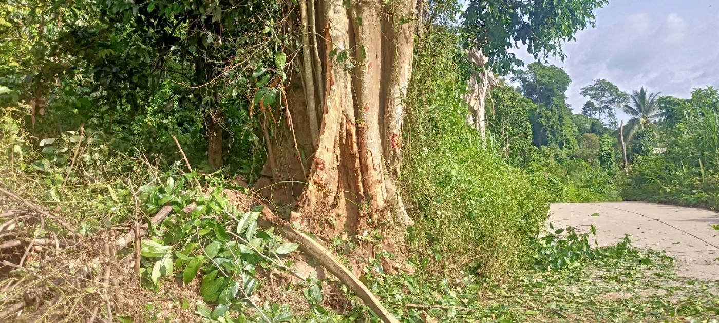 คนร้ายลอบวางระเบิดบันนังสตา เจ้าหน้าที่ดับ 1 บาดเจ็บ 2