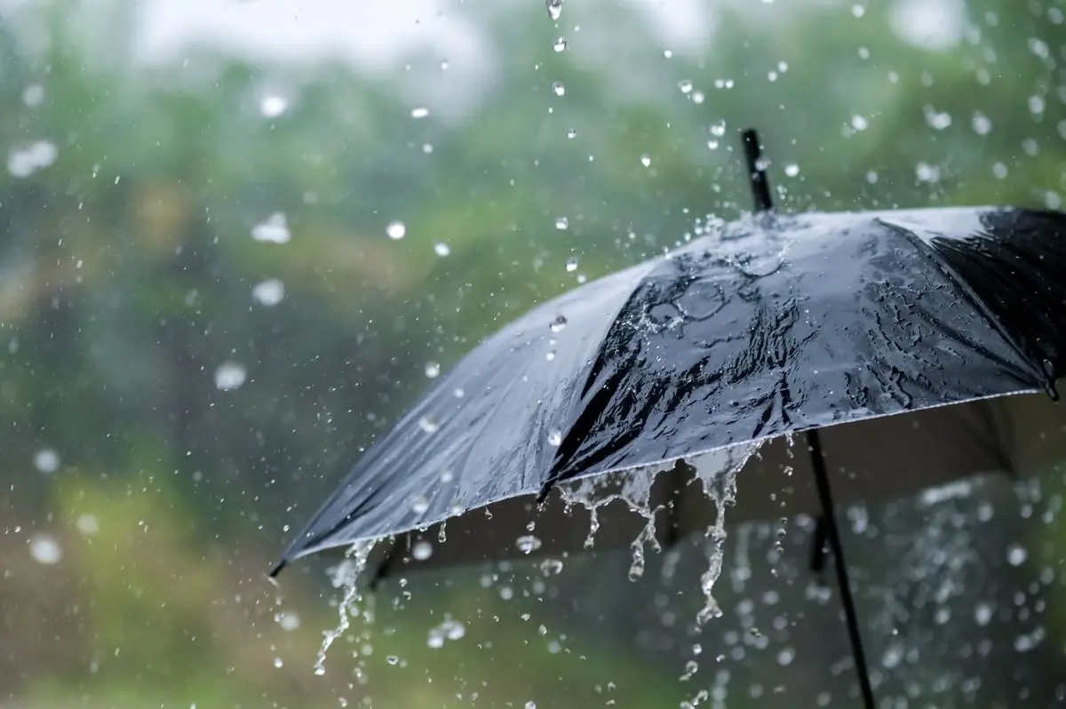 กรมอุตุฯเตือน 42 จังหวัดรับมือ“ฝนตกหนัก” อัปเดตเส้นทาง“พายุไต้ฝุ่นทกซูรี”