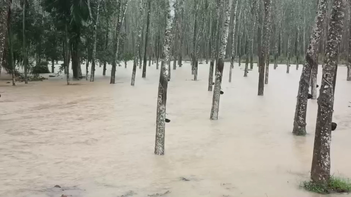 ฝนถล่มสตูล น้ำทะเลหนุน ทะลักท่วมบ้านพังเสียหาย คลื่นลมแรงซัดเรือล่มหลายลำ
