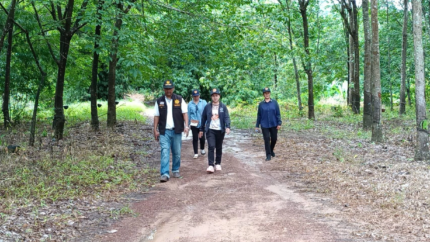 ระดมค้นหา หนุ่มกรีดยาง หายตัวบริเวณป่าเขาใหญ่ 5 วันแล้ว ยังไม่พบ