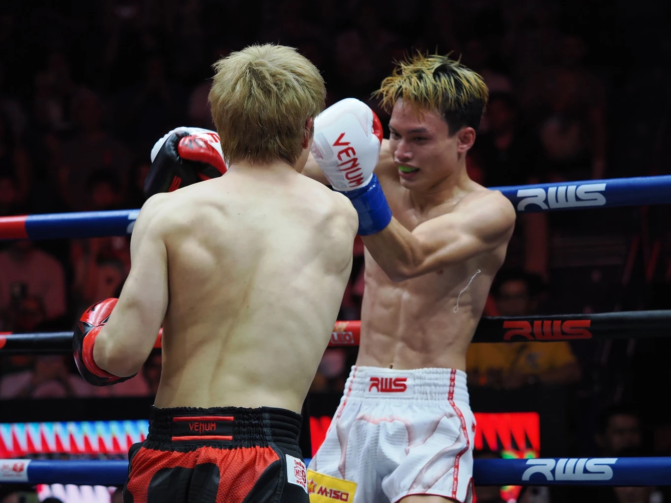 ประมวลภาพ "โจ๊กเกอร์" สุดอึด "โคตะ" ทุบไม่ลงจนชกครบ 3 ยก ศึกมวย RWS