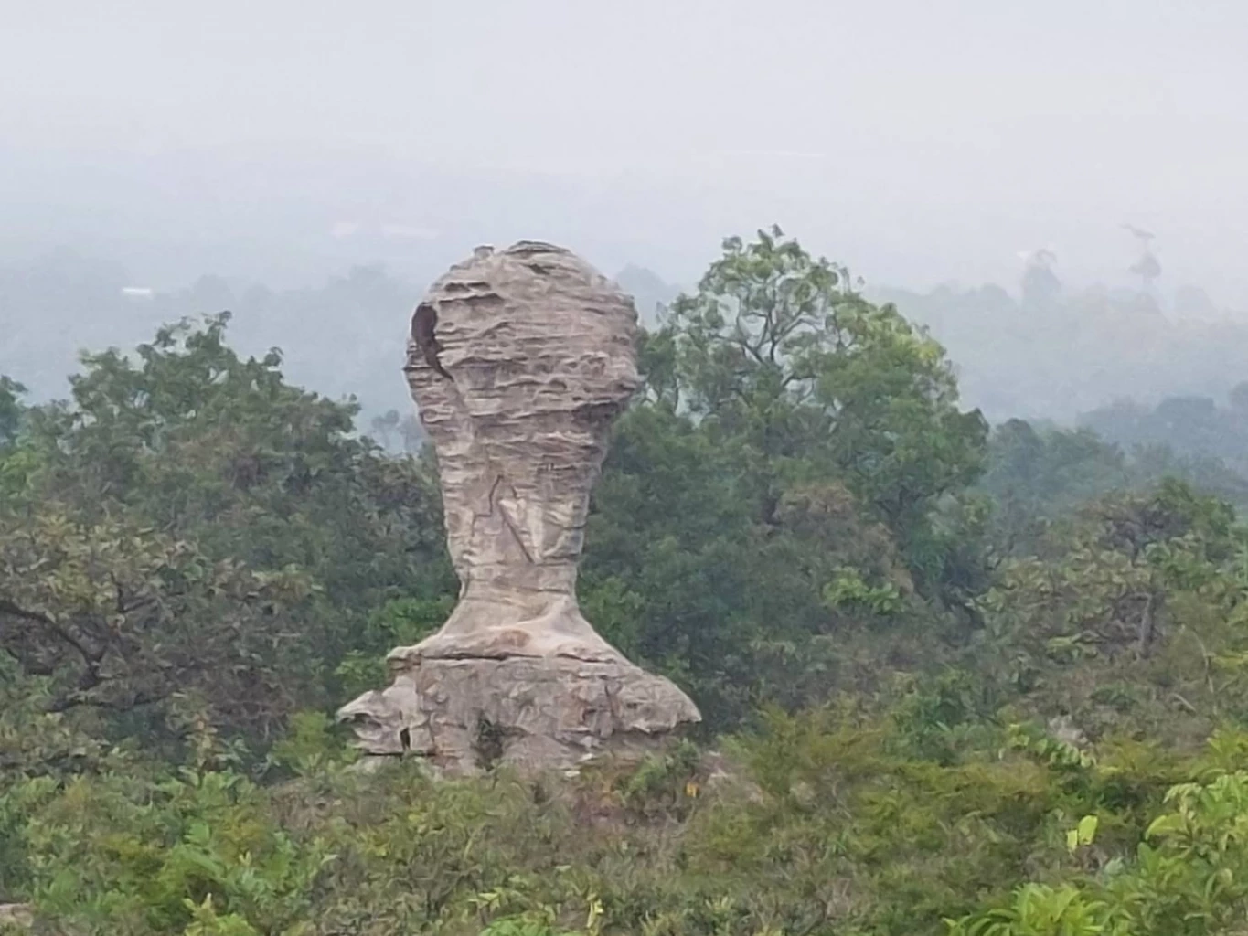 ชวนสัมผัสทะเลหมอก ชมทุ่งดอกกระเจียวบาน ที่อช.ป่าหินงาม