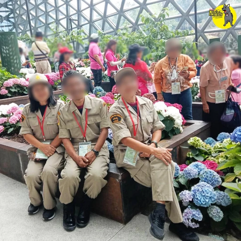 โป๊ะแตก! เพจดังแฉ เทศบาลเขาชีจรรย์ จัดอบรมเน้นเที่ยว “อิ่มจนจุกตลอดงาน”