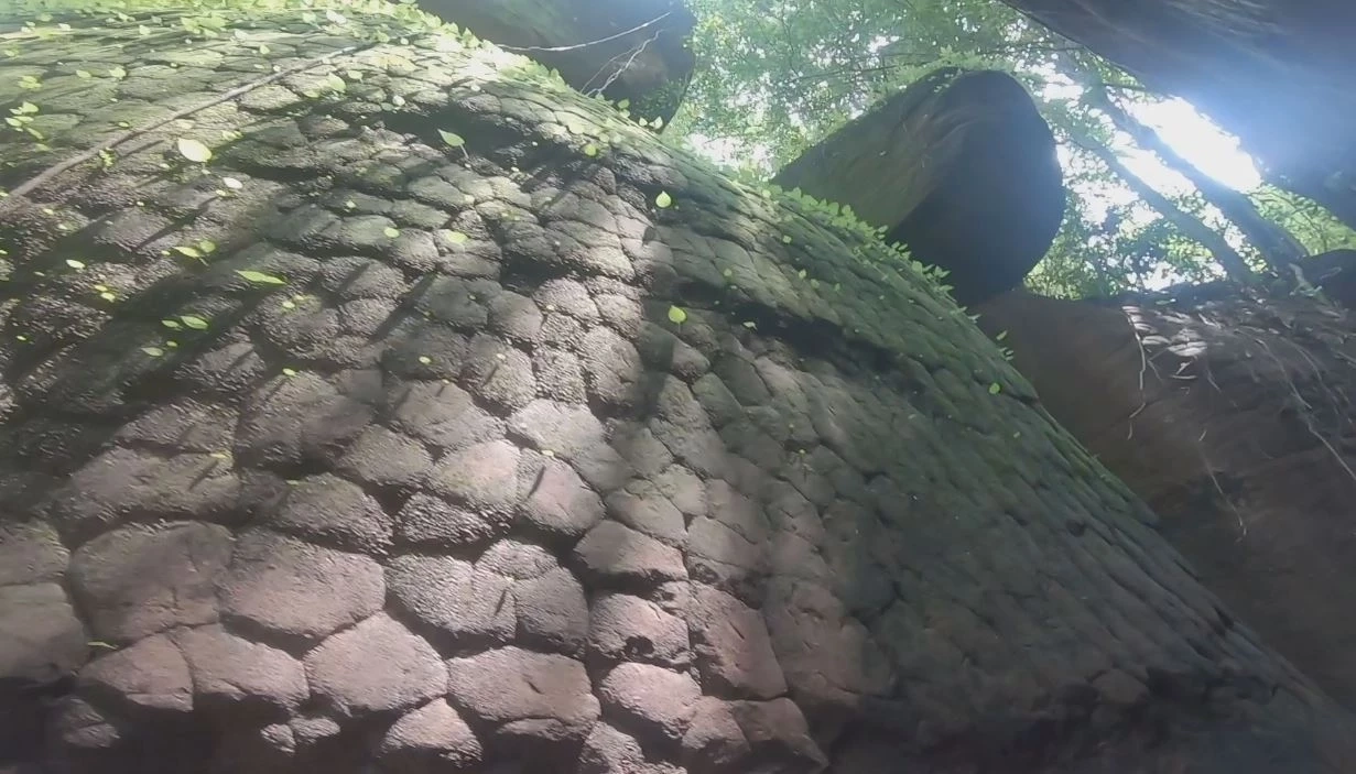 สุดว้าว! นทท.ชมวิว "ผานาคี" ตื่นตาหินพญานาค สายมูไม่พลาดขอพร