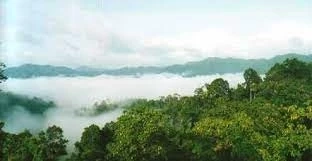 ชมภาพหายาก "สัตว์ป่า" สีสันแห่งพงไพร ที่อุทยานแห่งชาติแก่งกรุง