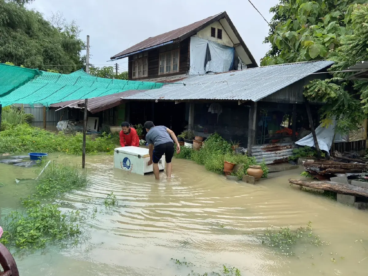 ฝนถล่มกาฬสินธุ์ ทำ "น้ำป่าภูพาน" ไหลทะลักท่วมนาข้าว - บ้านเรือน ปชช. ฉับพลัน