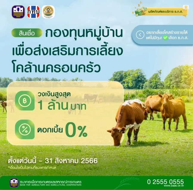 ธ.ก.ส.ปล่อยกู้ "โคล้านครอบครัว" วงเงินสูงสุด 1 ล้านบาท เช็กเงื่อนไขที่นี่ !