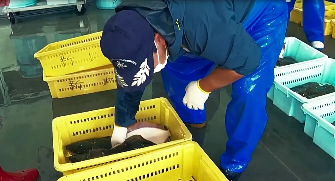 จีนแบนอาหารจาก 10 จังหวัดในญี่ปุ่น วิตกแผนทิ้งน้ำปนเปื้อนลงทะเล