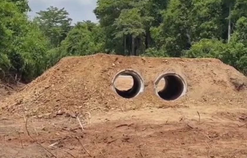 บังเกอร์หลบภัยจากช้างป่า