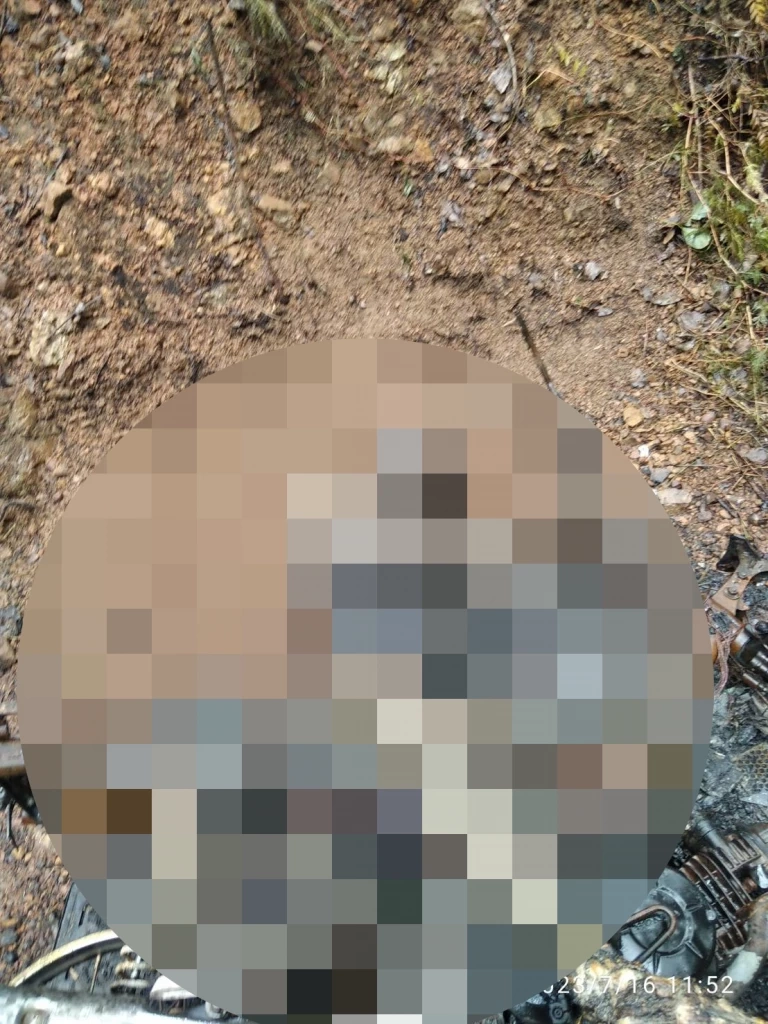 สุดเหี้ยม! พบร่างถูกสังหารหมู่ 4 ศพ กลางป่ายางที่ชุมพร