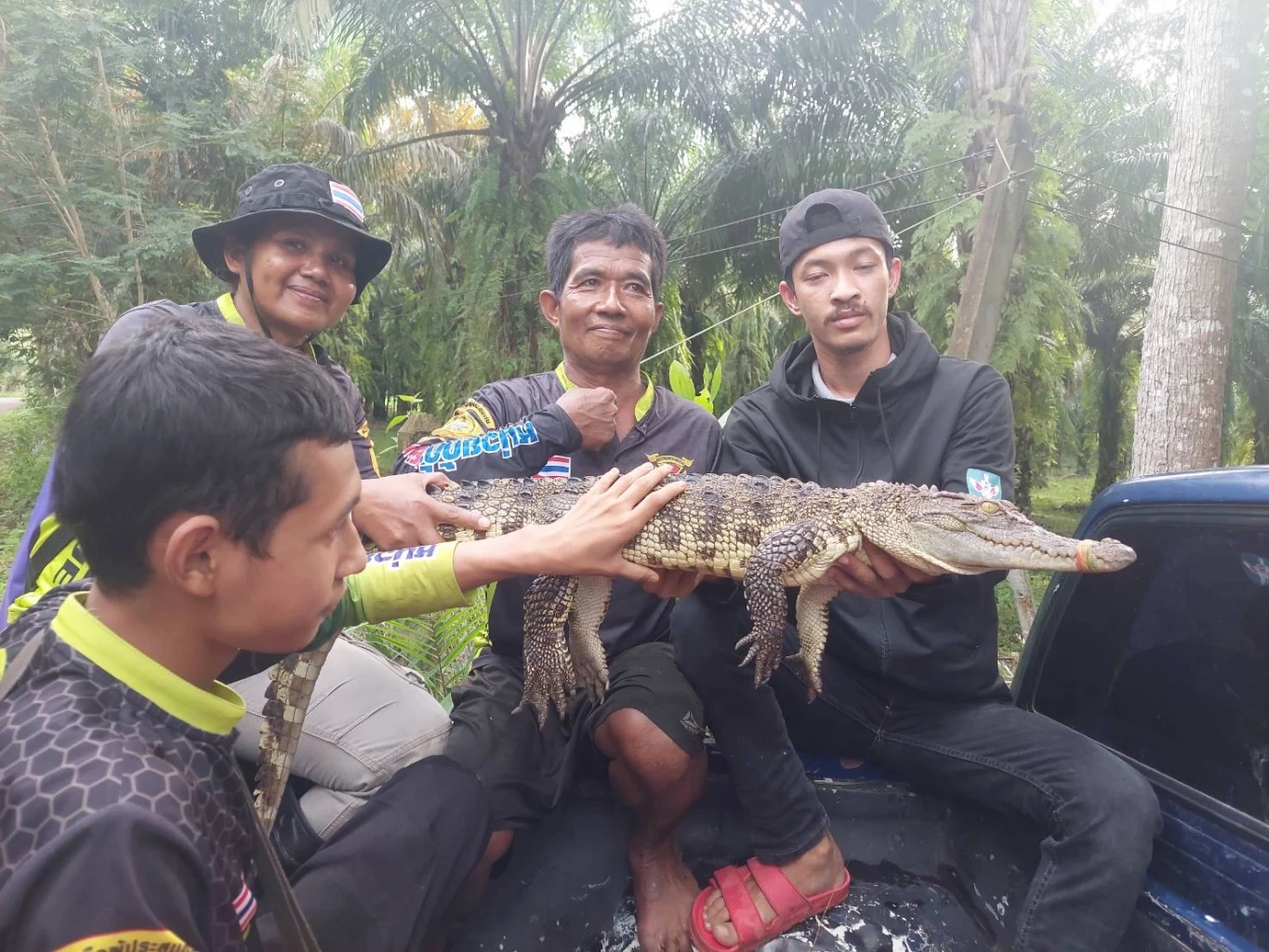 จับได้แล้ว 6 ตัว จระเข้หลุดบ่อเลี้ยง ด้าน จนท.ประมง เตรียมแจ้งความเจ้าของบ่อ