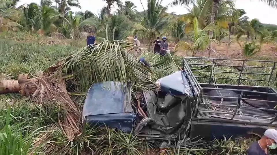 ตำรวจไล่ล่าผัวค้ายา หลังไม่ยอมให้ตรวจค้น สุดท้ายเสียหลักชนต้นไม้เมียดับ