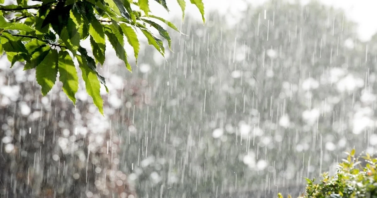 ห่วงใยพี่น้องภาคใต้ เจอฝนฟ้าคะนองร้อยละ 80 มีฝนตกหนักถึงหนักมากในบางแห่ง 