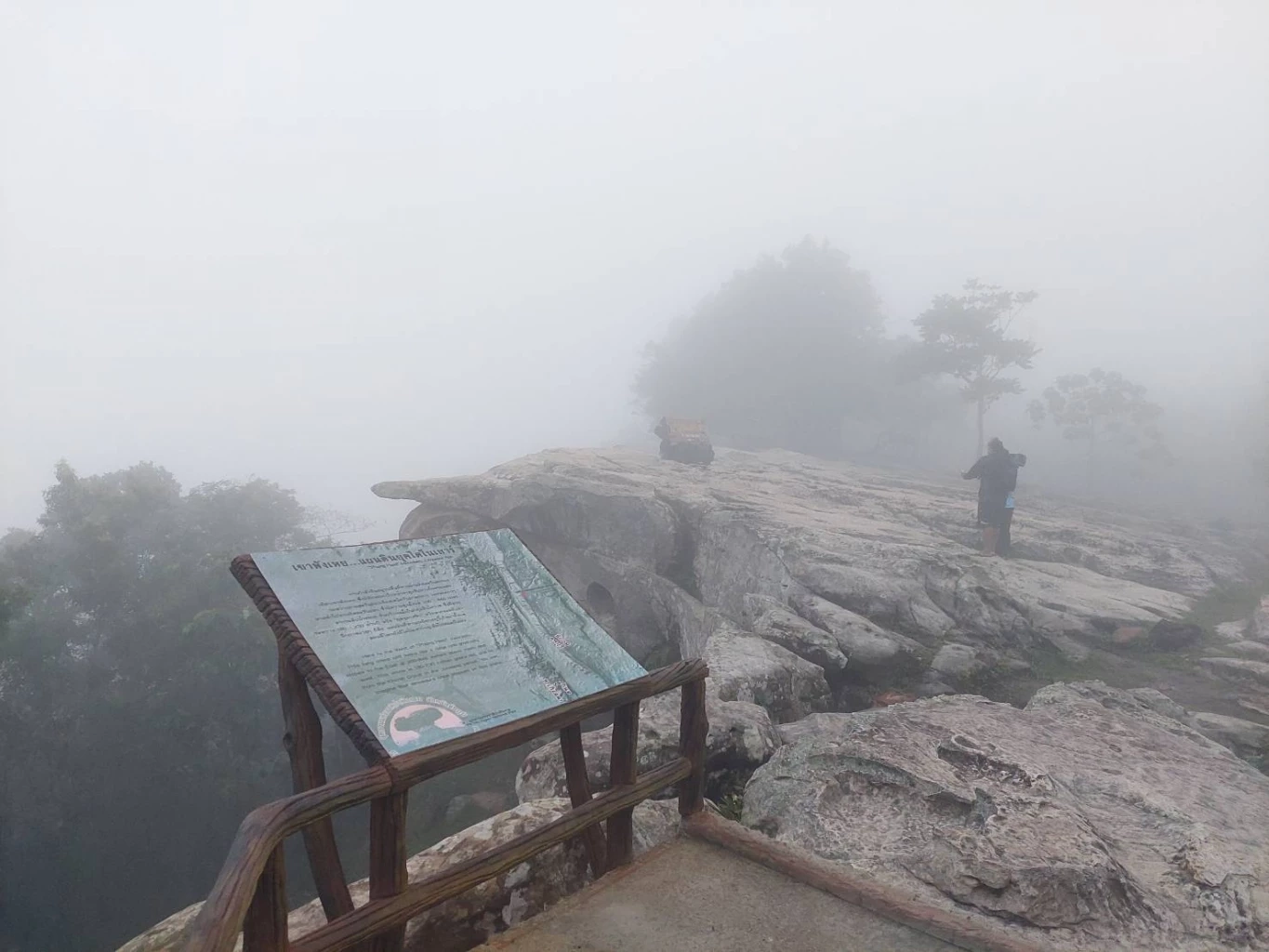 ชวนสัมผัสทะเลหมอก ชมทุ่งดอกกระเจียวบาน ที่อช.ป่าหินงาม