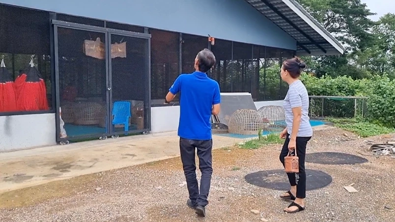 ฟาร์มไก่ชนเสี่ยโก้