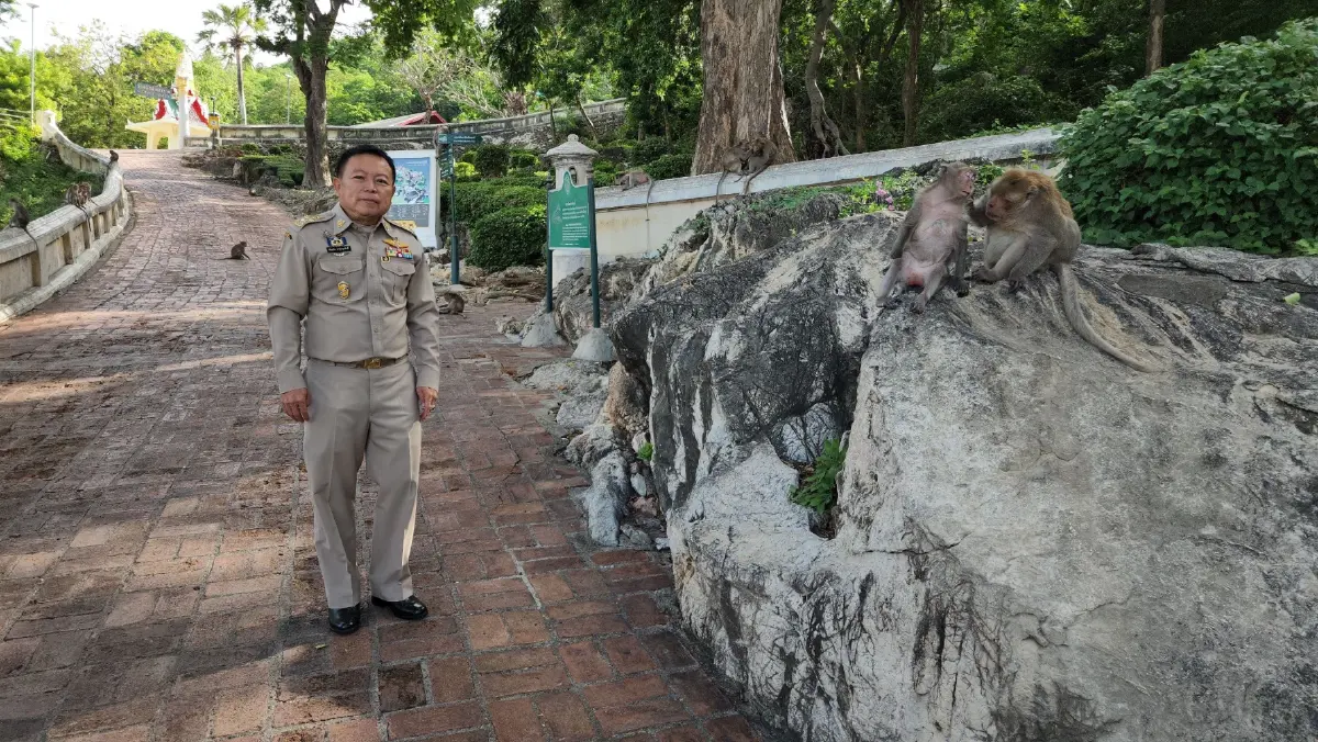 ผู้ว่าฯ เพชรบุรี เตรียมเสนอ ทส. ปลดลิงแสม ออกจากสัตว์ป่าคุ้มครอง