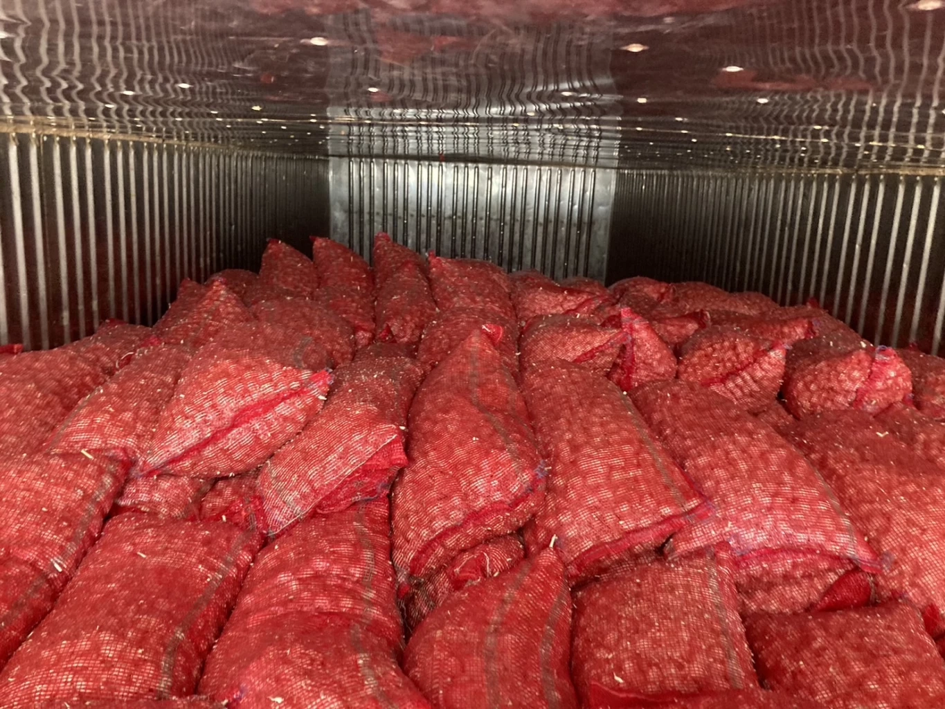 กรมศุลกากรโชว์ผลงานจับกระเทียมเถื่อน 3 หมื่นกก.