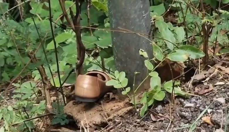 พบแล้วร่าง "ป้าอ้อย" ถูกโยนทิ้งหน้าผา ริมอ่างเก็บน้ำเขื่อนศรีนครินทร์