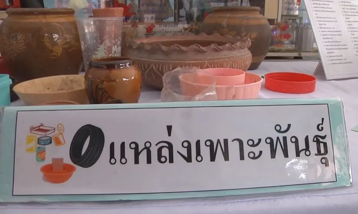 เพียง 1 สัปดาห์ เขตสุขภาพที่ 9 พบป่วยไข้เลือดออกเพิ่ม 217 ราย