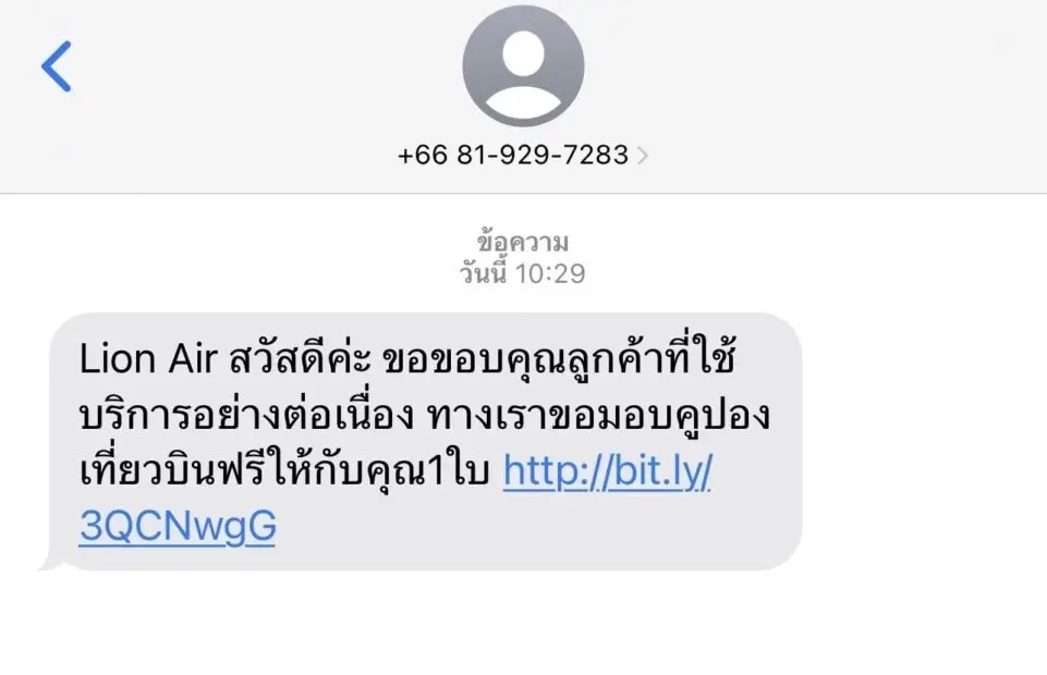 ตร.ไซเบอร์ รวบมิจฉาชีพอ้างไลอ้อนแอร์ แจกตั๋วฟรี เหยื่อสูญเงินกว่า 150 ล้าน