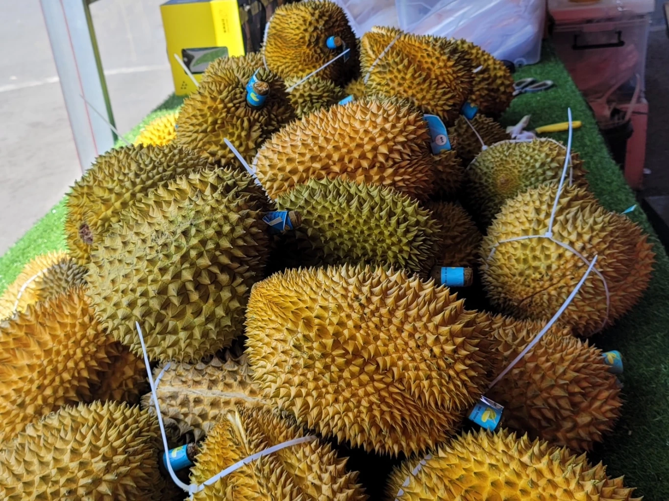 ผลไม้ไทยครองใจจีน!  ส่งออกแล้วกว่า 1.16 ล้านต้น โกยเงินเข้าไทย 1.04 แสนล้าน