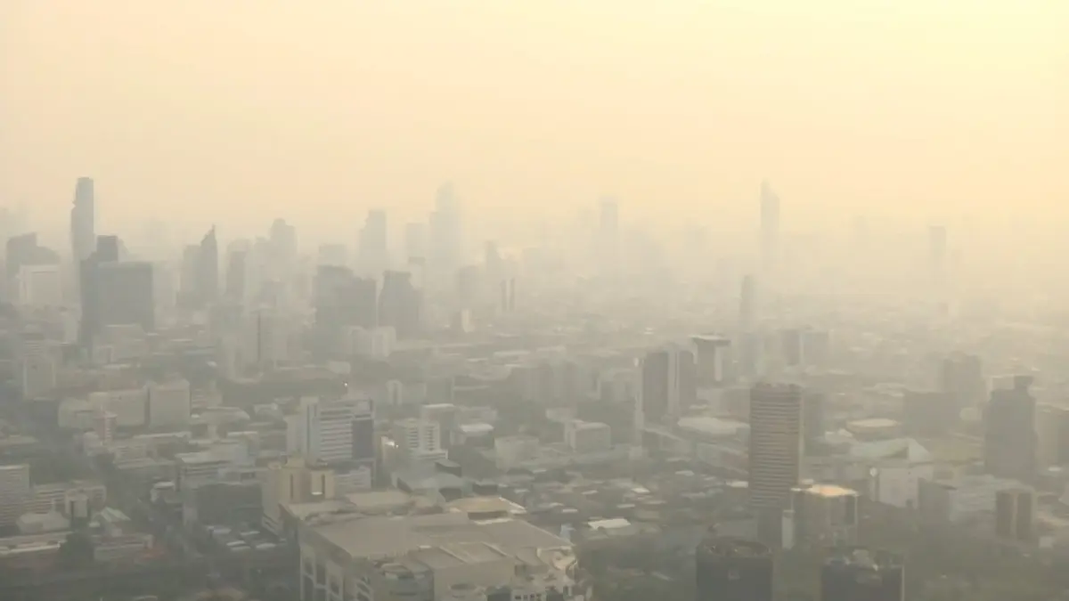 สภาลมหายใจฯ เตือน รัฐเสี่ยงถูกฟ้องซ้ำ หากมาตรการแก้ฝุ่น PM2.5 ไม่เปลี่ยน 