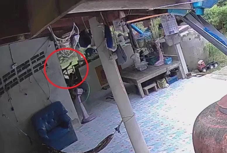 ออกหมายจับ! เจ้าหนี้สังหารพ่อค้าทุเรียน ปมหนี้ 3 ล้าน เผยคลิปนาทีดวลปืน