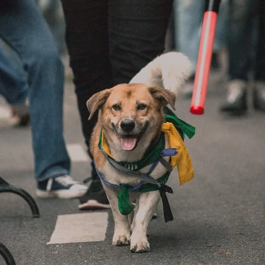 ด่วน! ศาลพิพากษาจำคุก "ส.ต.ท." มืออุ้ม "พี่เตี้ย มช." 6 เดือน ไม่รอลงอาญา