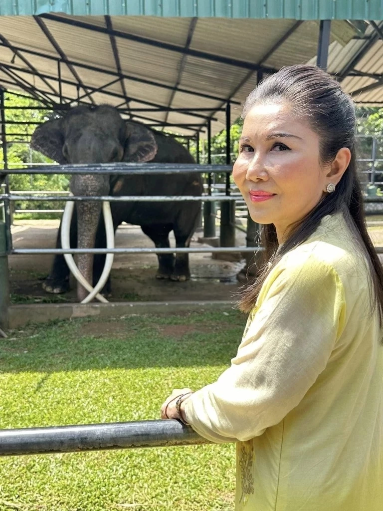 "กัญจนา" แจงแล้ว พลายศักดิ์สุรินทร์ ถ้าหายดี ต้องส่งกลับศรีลังกาอีกหรือไม่