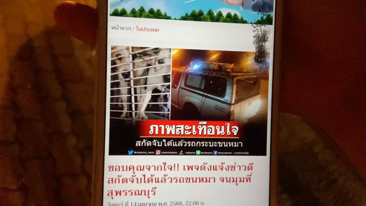 ระทึก! ชาวบ้านล้อมจับ รถตระเวนจับหมาขาย กลางพุทธมณฑลสาย 4 สุดท้ายหนีไปได้