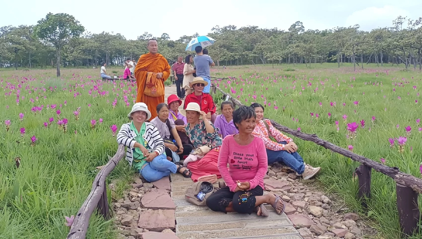 นทท.จำนวนมาก เดินทางมาชมความงามทุ่งดอกกระเจียว