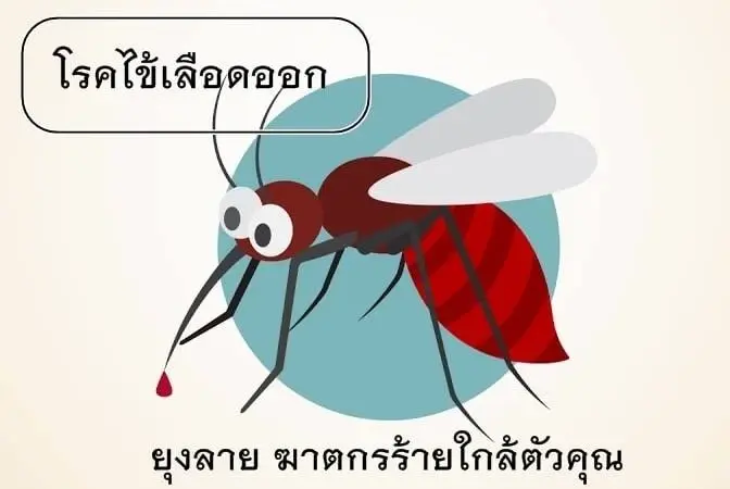 เพียง 1 สัปดาห์ เขตสุขภาพที่ 9 พบป่วยไข้เลือดออกเพิ่ม 217 ราย