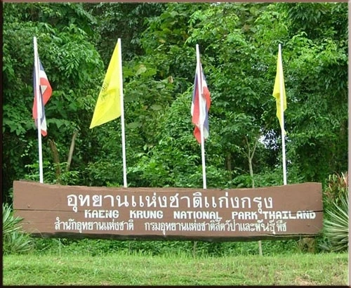 ชมภาพหายาก "สัตว์ป่า" สีสันแห่งพงไพร ที่อุทยานแห่งชาติแก่งกรุง