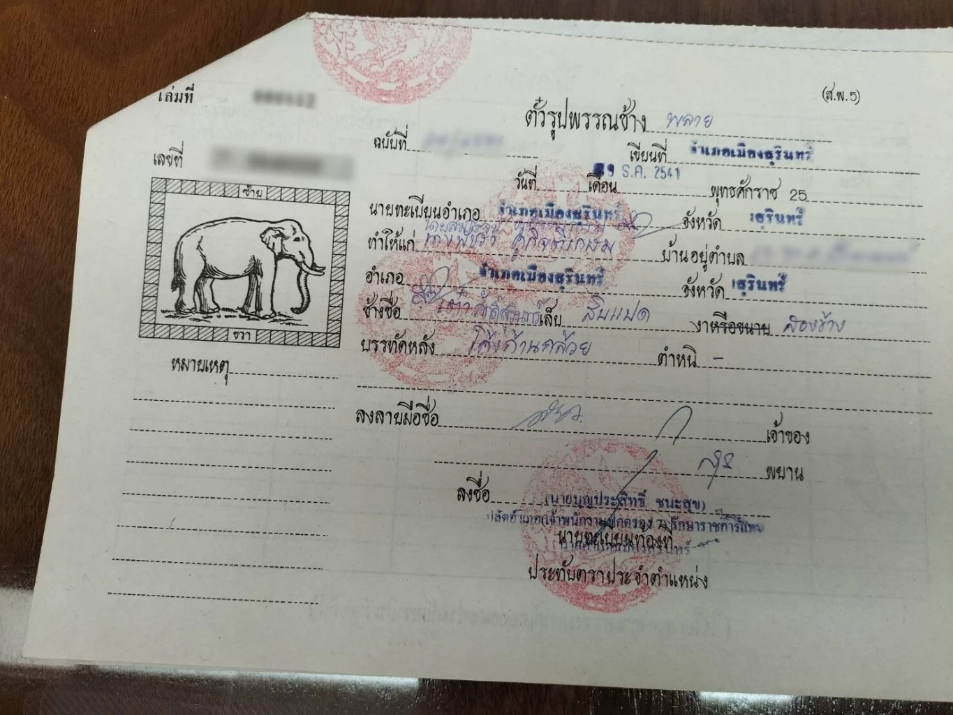 "กัญจนา" แจงแล้ว พลายศักดิ์สุรินทร์ ถ้าหายดี ต้องส่งกลับศรีลังกาอีกหรือไม่