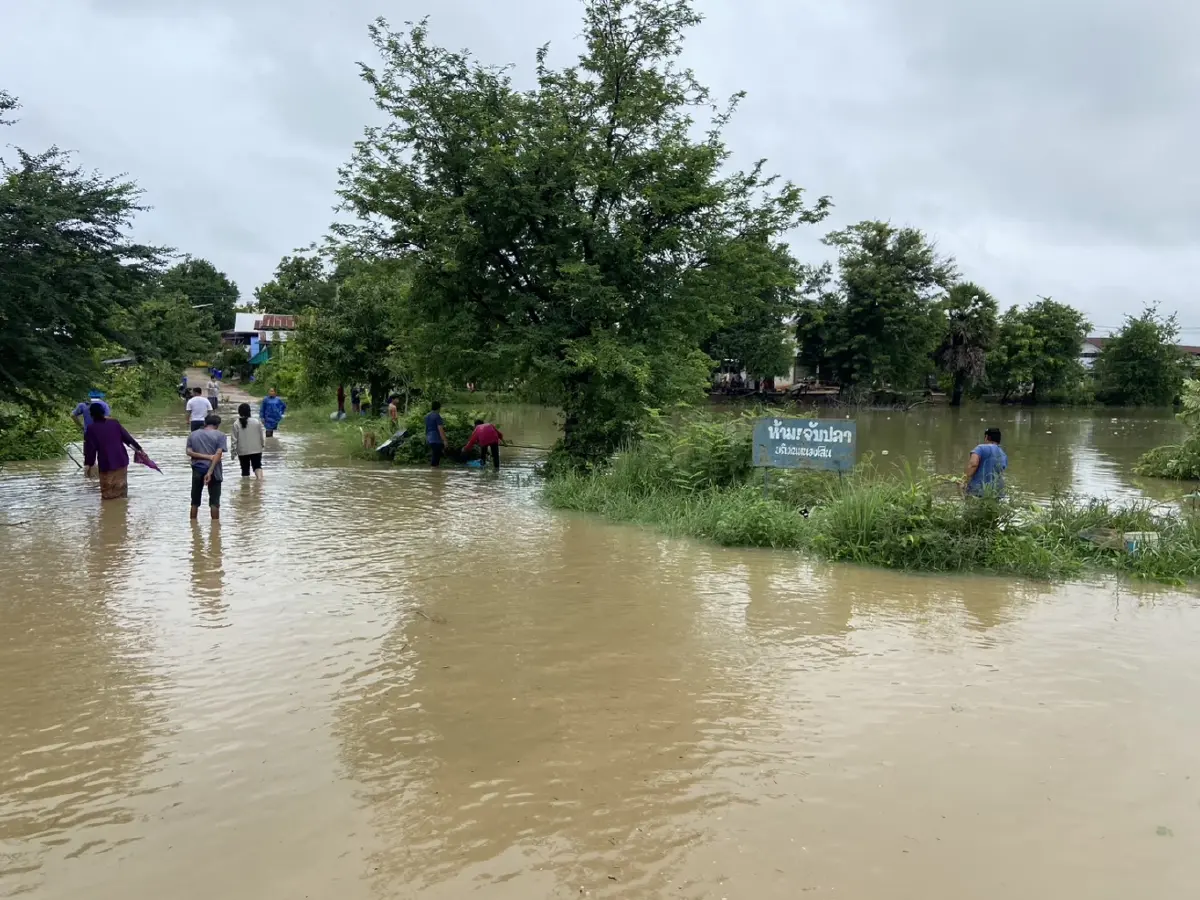 ฝนถล่มกาฬสินธุ์ ทำ "น้ำป่าภูพาน" ไหลทะลักท่วมนาข้าว - บ้านเรือน ปชช. ฉับพลัน