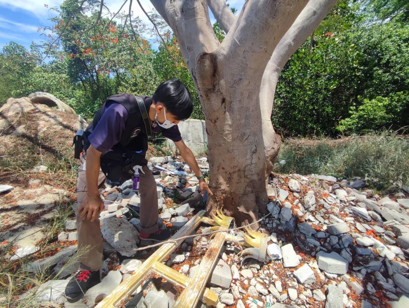 แฉอีก ประจวบฯ ใช้งบ 7 แสน สร้างศิลปะบนพื้นถนน ที่ชาวประมงใช้ "ตากปลาเค็ม"